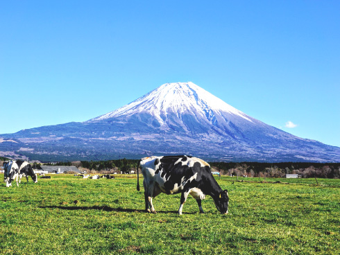 造りへのこだわり1